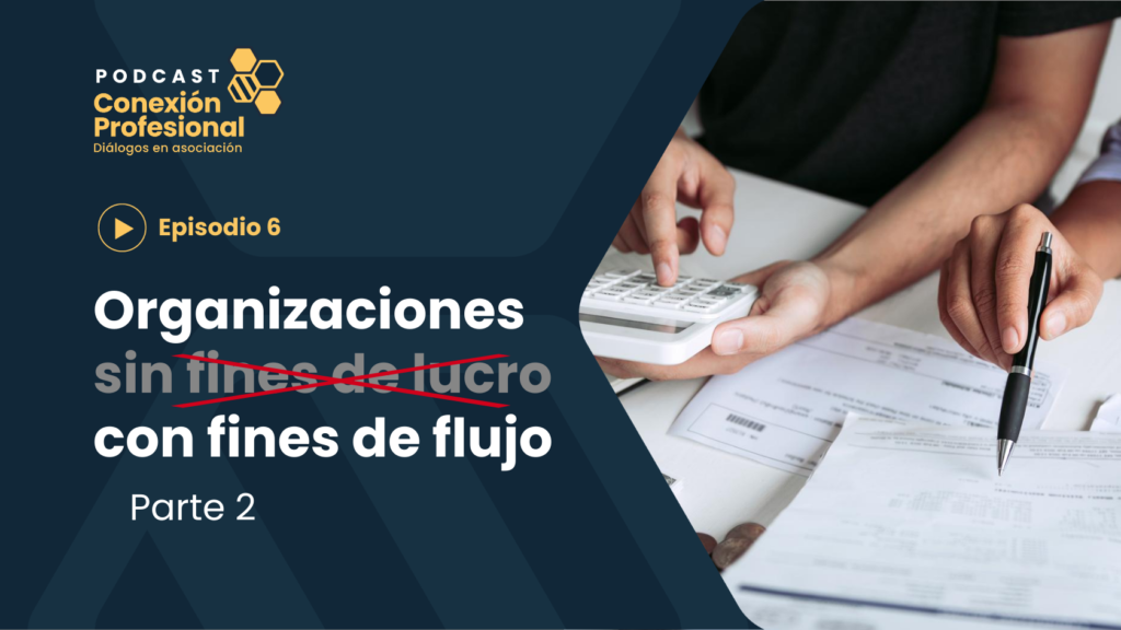 Organizaciones con Fines de Flujo Parte 2